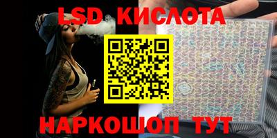 прущие грибы Можга