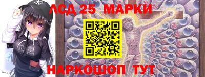 прущие грибы Можга
