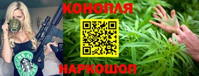 прущие грибы Можга