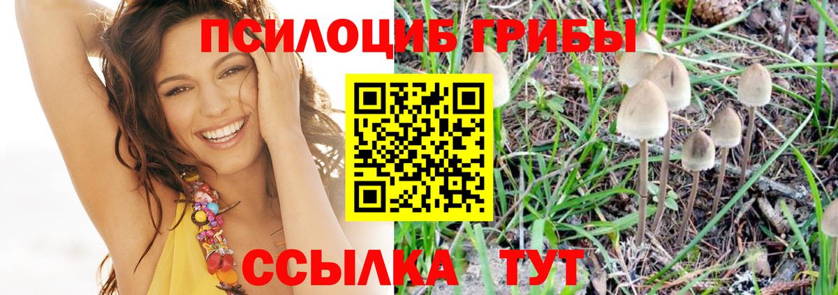Псилоцибиновые грибы ЛСД  Галлюциногенные грибы ЛСД  Вход с VPN  Балашиха 